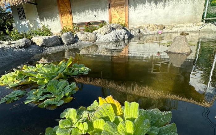 2000平方米2臥室獨立屋 (成功鎮) - 有2間私人浴室