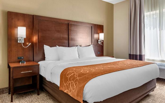 Comfort Suites Auburn near I-69