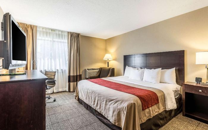 Comfort Inn Lansing West