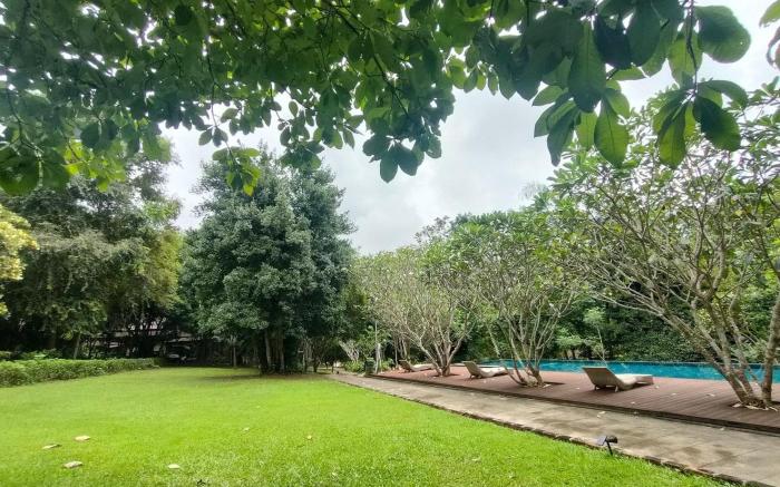 Garden Stay by Wanathara