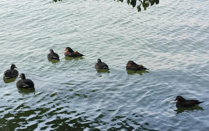 Hanting Hotel Hangzhou West Lake Yan'an Road