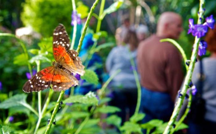 Holiday Inn Sioux Falls-City Center By IHG