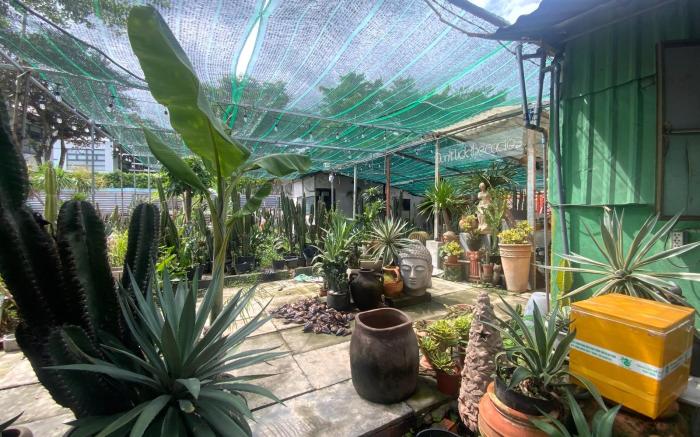 Cactos Bar & Homestay