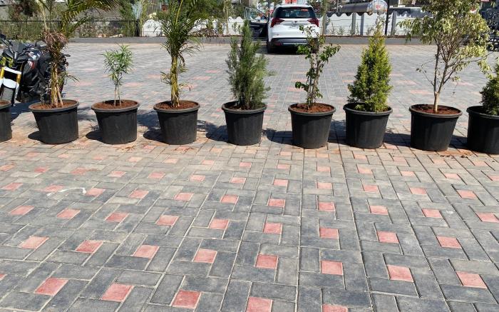 THE GRAND SAROVAR INN AND SUITES