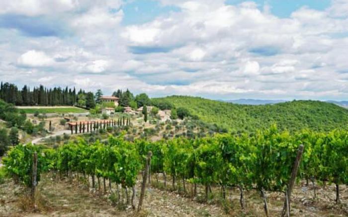 Querceto Di Castellina