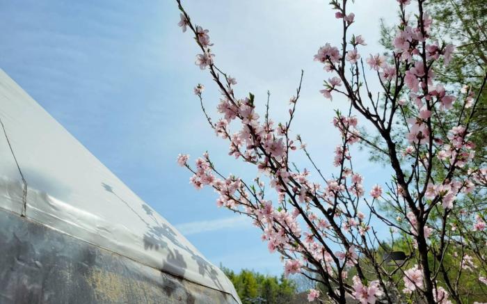 glampark Gekkabijin Nagano