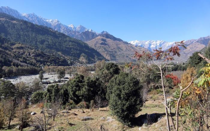 Bamboo Cottage with River and Mountain View