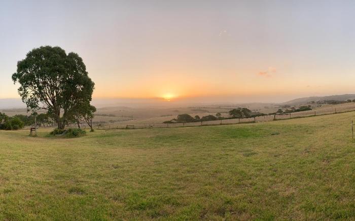 Lush Pastures