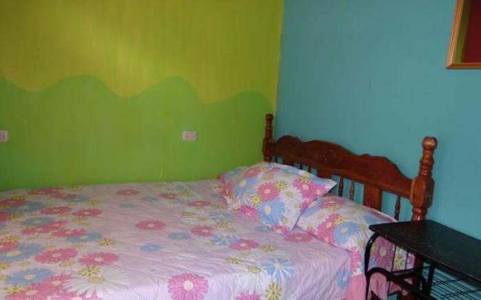 Hotel & Hostel Sloth Backpackers