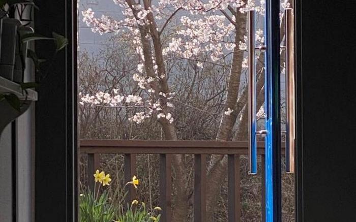 Cheonan Botanic