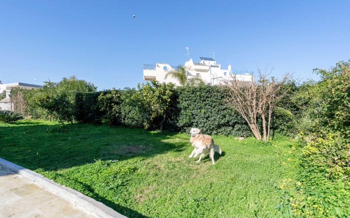 Maestrale - Seaside Modern Living