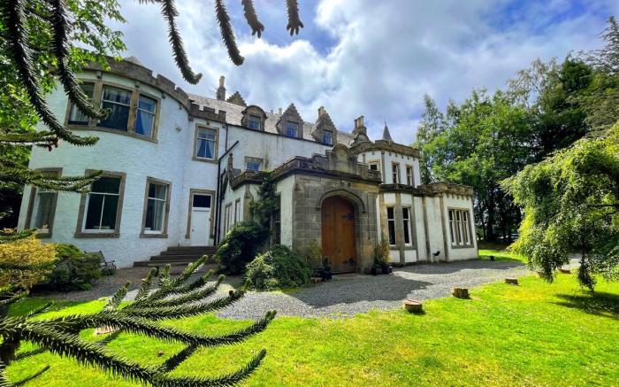 Catcune Superior Suite