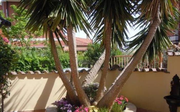 Nataly's House Bed&Breakfast