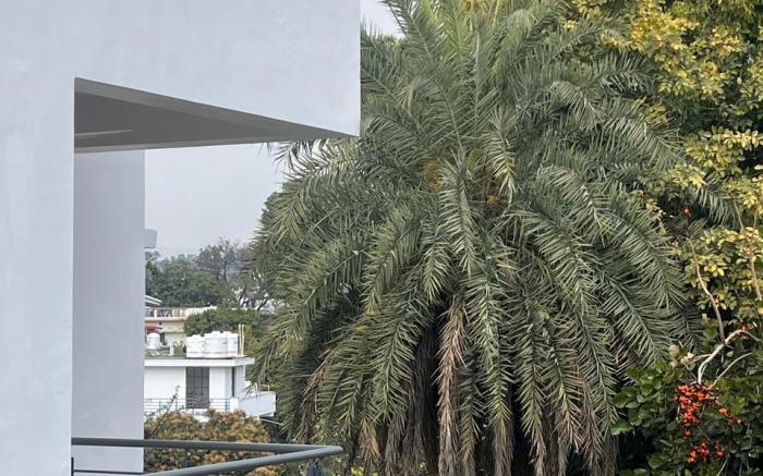 Lychee Bagh