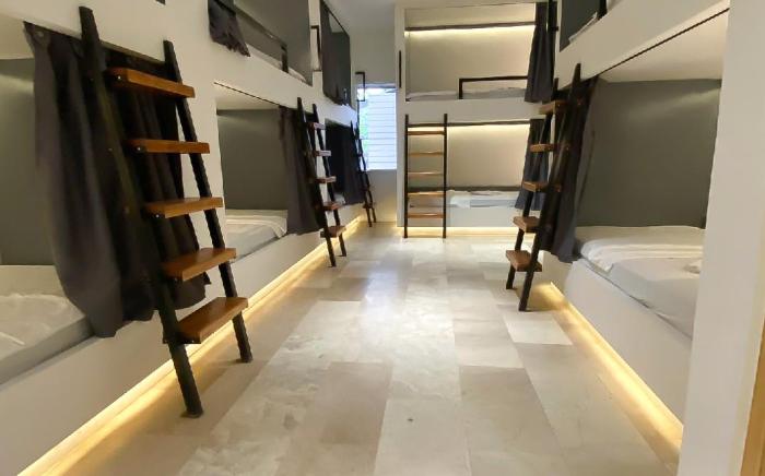 Wild Monkeys Hostel
