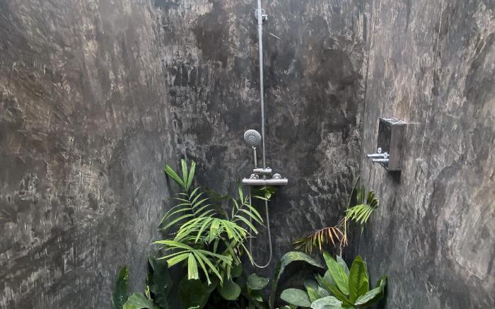 Wild Monkeys Hostel