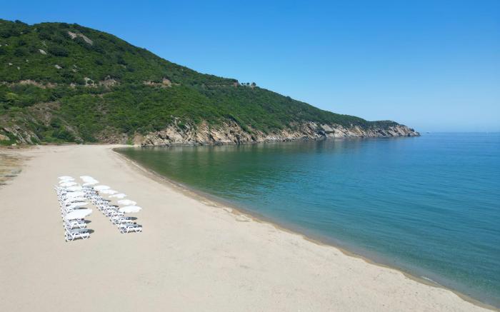 Mukha Ormanlı