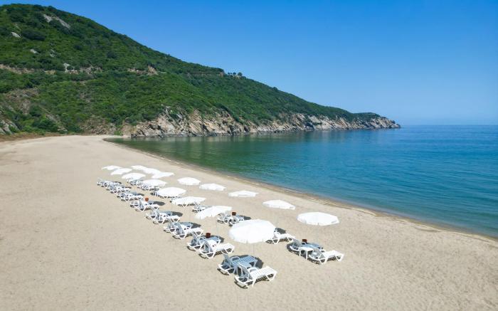 Mukha Ormanlı
