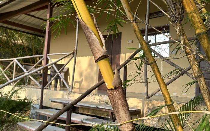 Aranya Phansad Resort