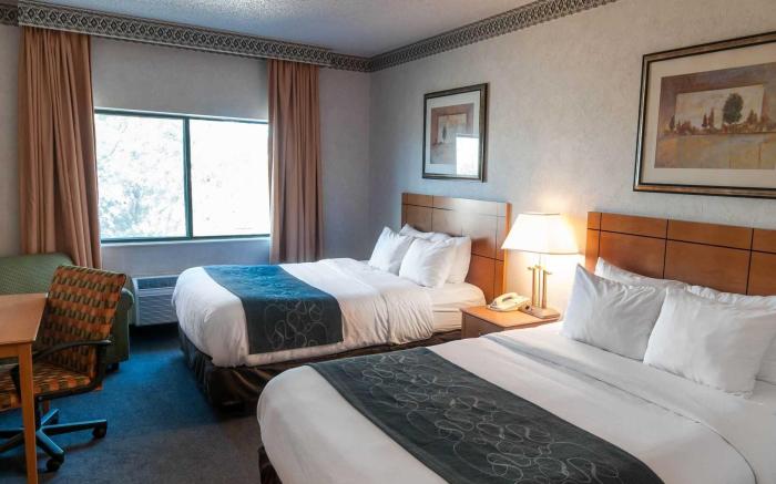 Comfort Suites   University