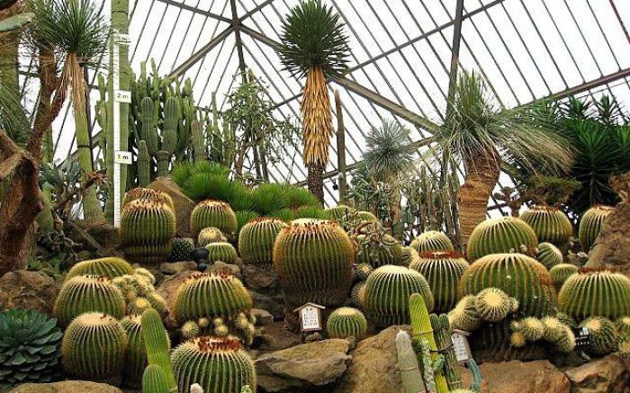 This villa is a 6-minute drive from Omuroyama.