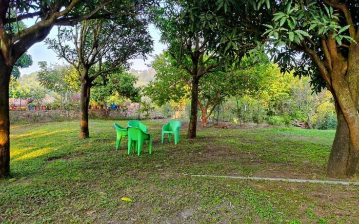 The Morni Farm Stay
