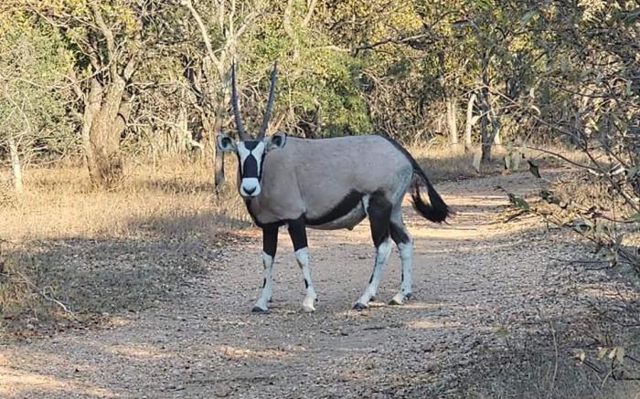 Unathi Game Lodge
