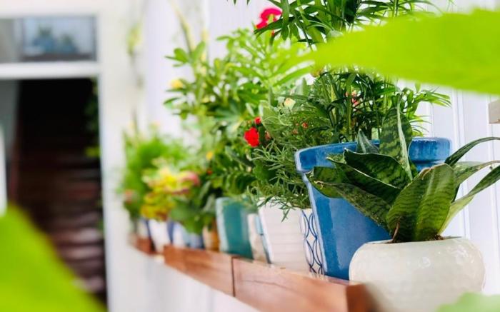 GREENTREE (2 P.NGỦ, TẦNG 2, CÓ P.BẾP, MÁY GIẶT...)