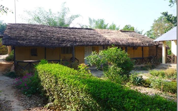 Bardia Jungle Cottage