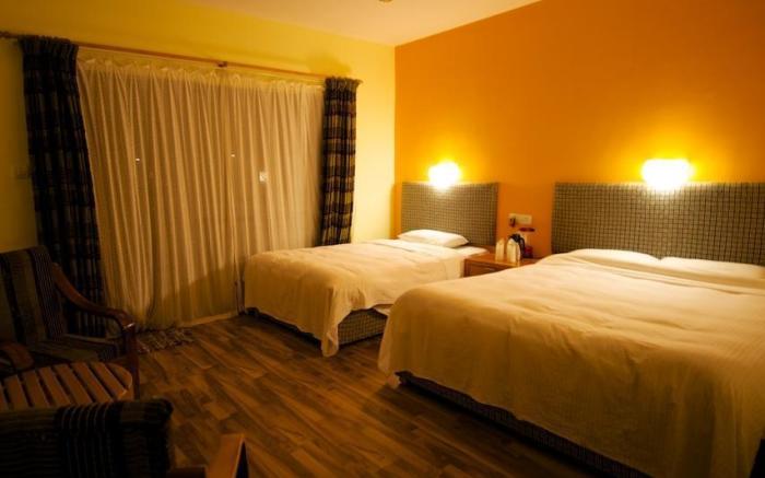 Into The Wild Eco Resort