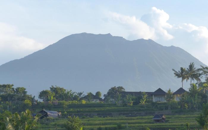 Abian Ayu Villa