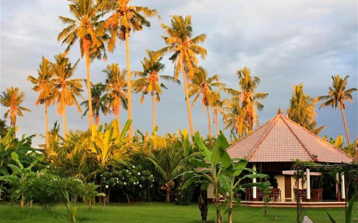 Bali Oase Resort
