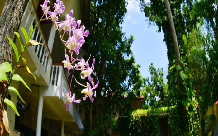 Sea Breeze Guesthouse