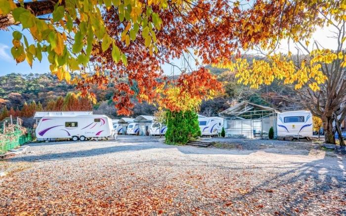 Daejeon Dreaming Farmer Camping Site