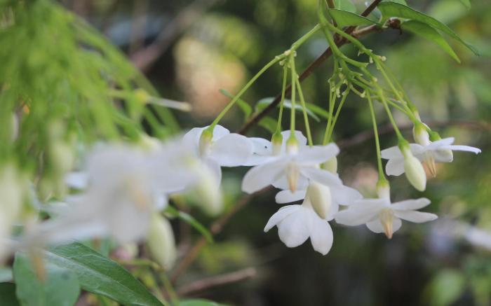 Lanta Happy Hill Resort