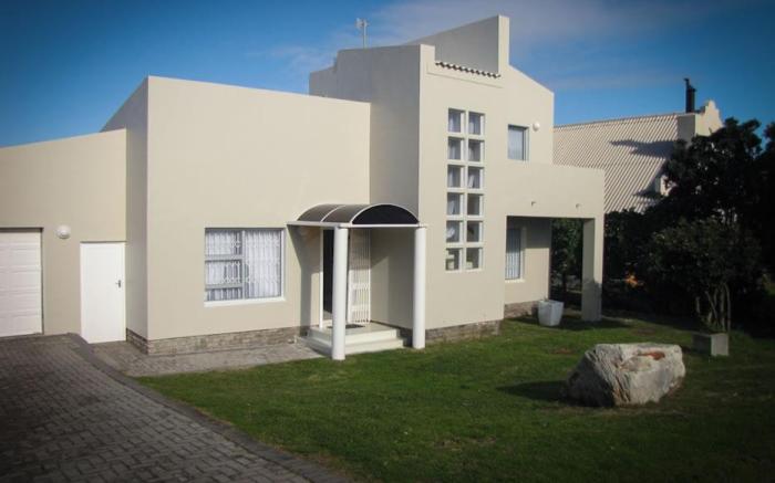 Seagull Hermanus