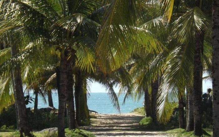 Vila do Galo