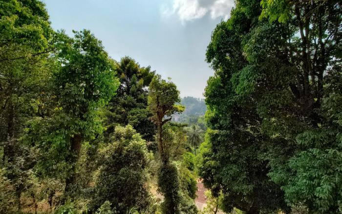 Coorg Red Stone Villas 