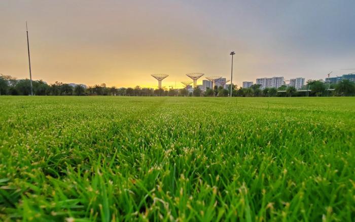 Beautiful city sight apartment with green around