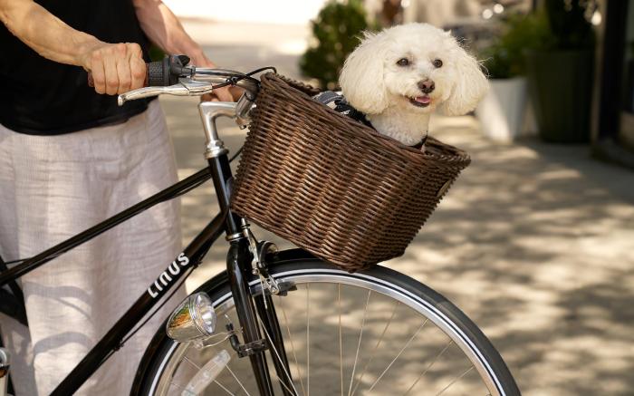 Hotel Rendale Washington DC