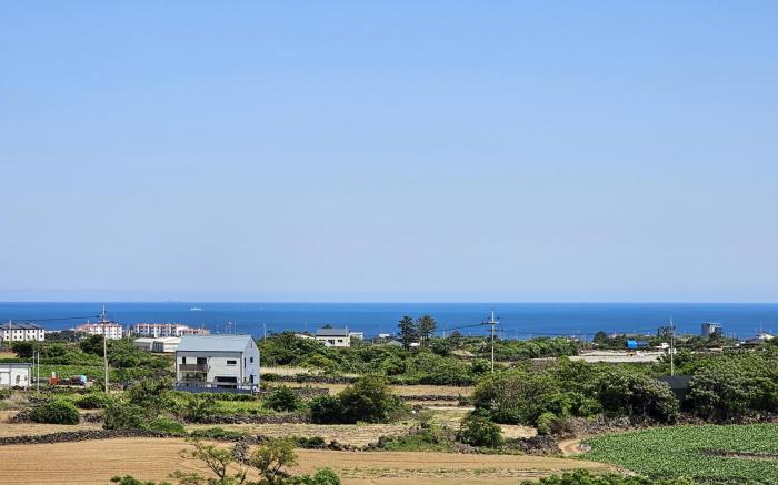 Check in Jeju