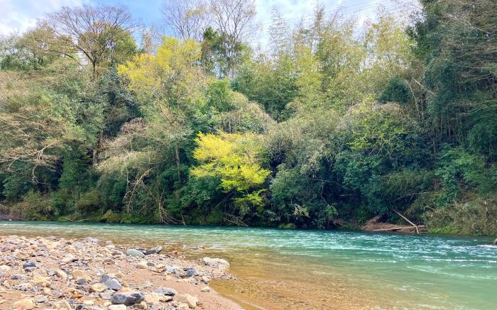 A.田舎の一棟貸住宅、お庭でBBQやプール遊びができる宿。