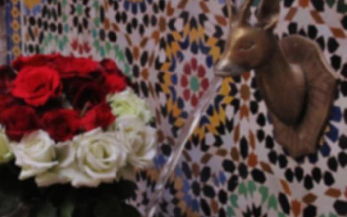 Riad L'Escale de Marrakech Guest House