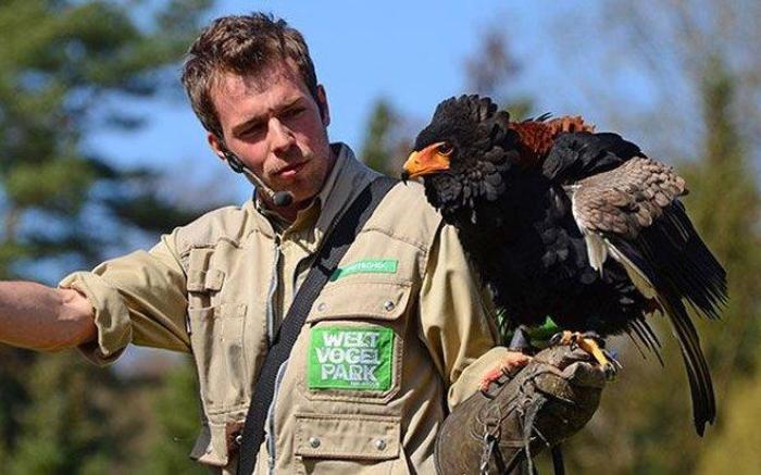 ACHAT Hotel Luneburger Heide