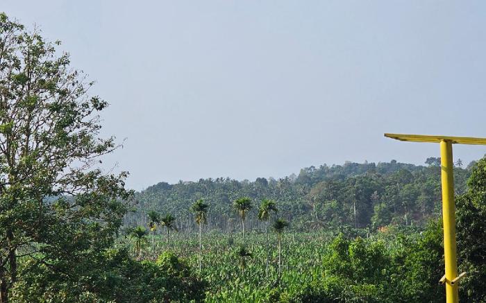 Green Wind Resort
