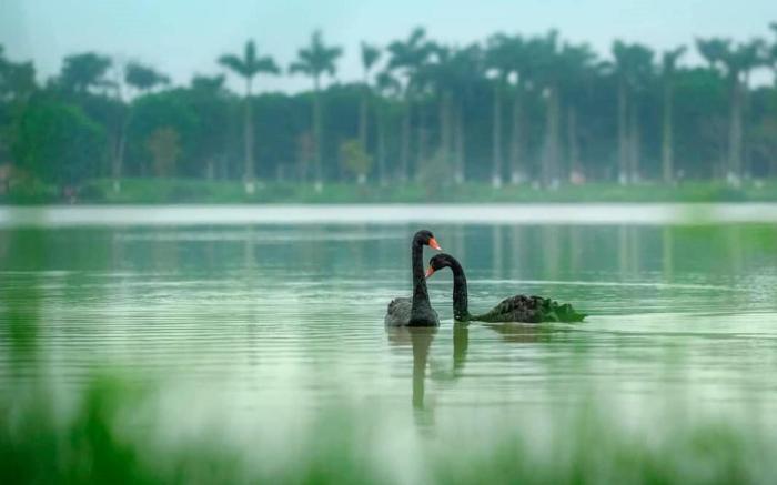 Fami Homestay - Ecopark Hưng Yên