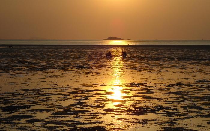 Orchad House PHR2023