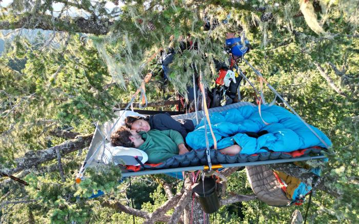 Tree Climbing at Silver Falls
