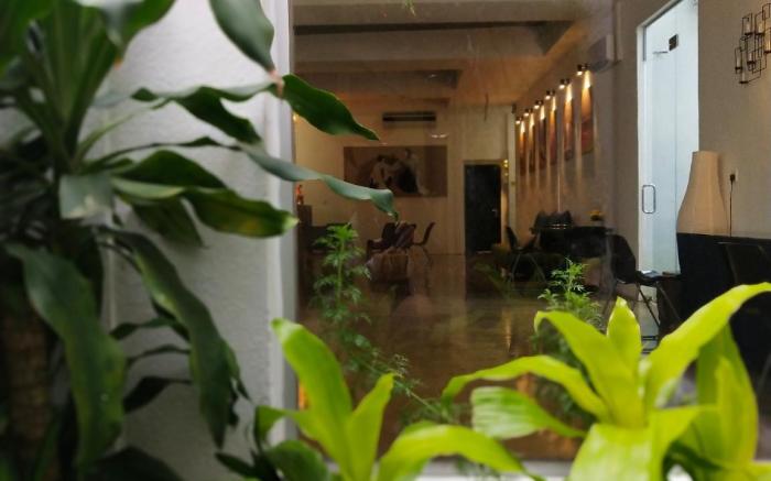 Beds In Garden Hostel