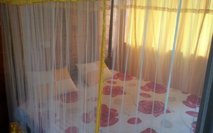 Little Pumpkin Cabanas